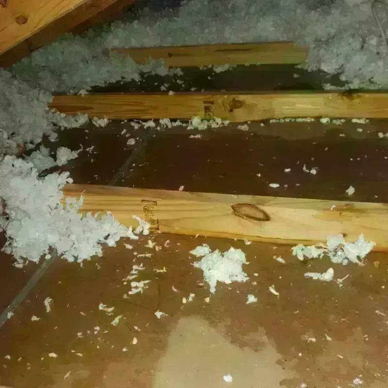 Attic Water Damage in Fall City, WA